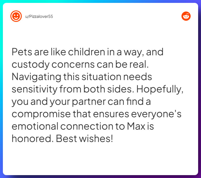 Comment from u/Pizzalover55