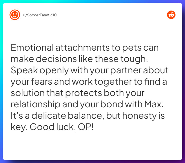 Comment from u/SoccerFanatic10