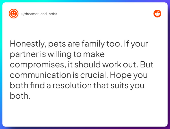 Comment from u/dreamer_and_artist