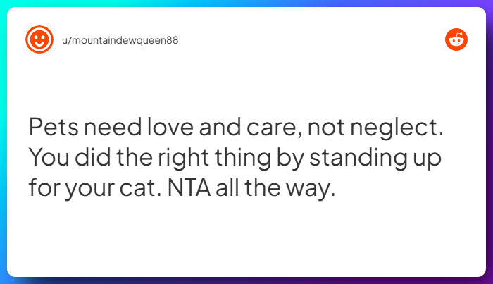 Comment from u/mountaindewqueen88