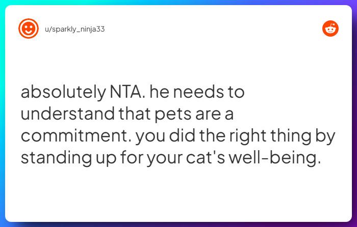 Comment from u/sparkly_ninja33