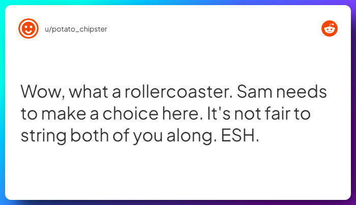 Comment from u/potato_chipster