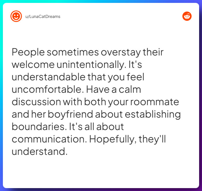 Comment from u/LunaCatDreams