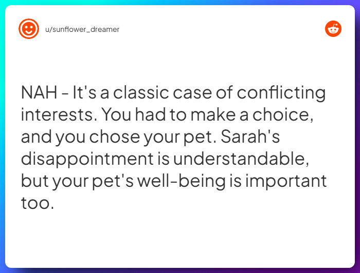 Comment from u/sunflower_dreamer