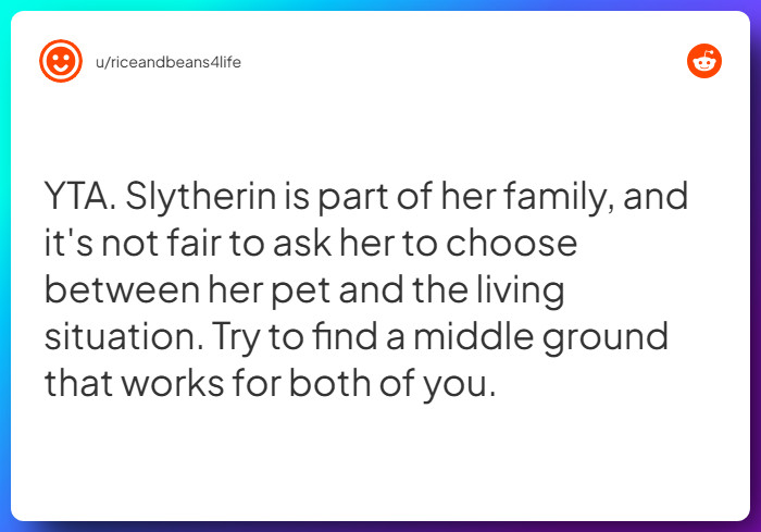 Comment from u/riceandbeans4life