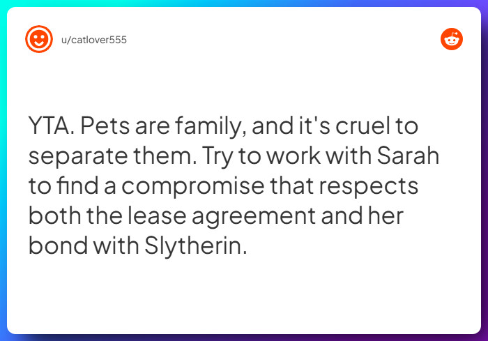 Comment from u/catlover555