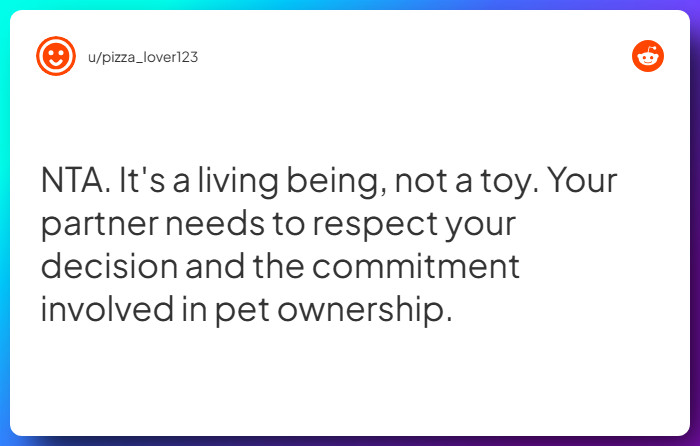 Comment from u/pizza_lover123