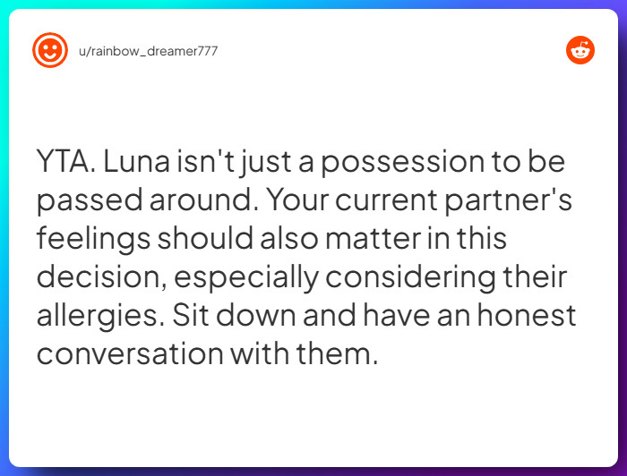 Comment from u/rainbow_dreamer777