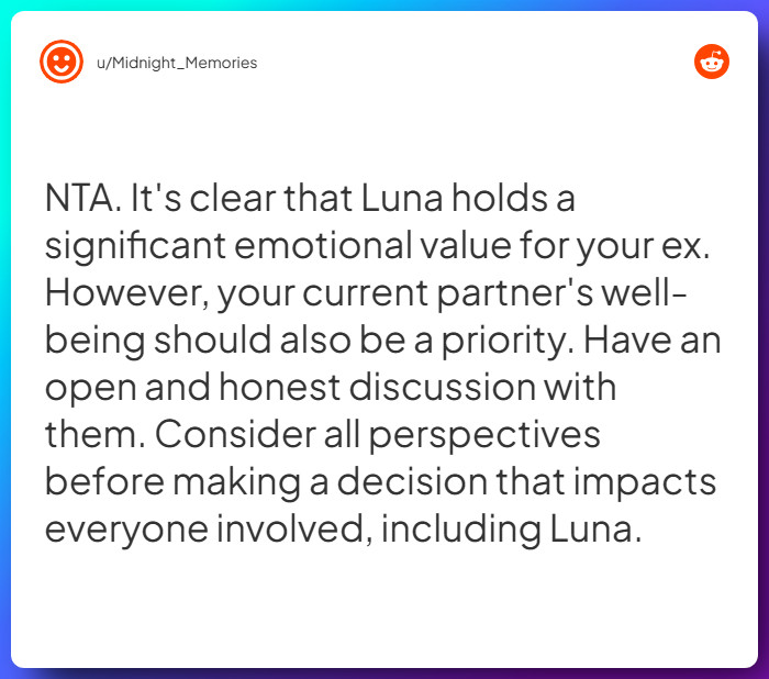 Comment from u/Midnight_Memories