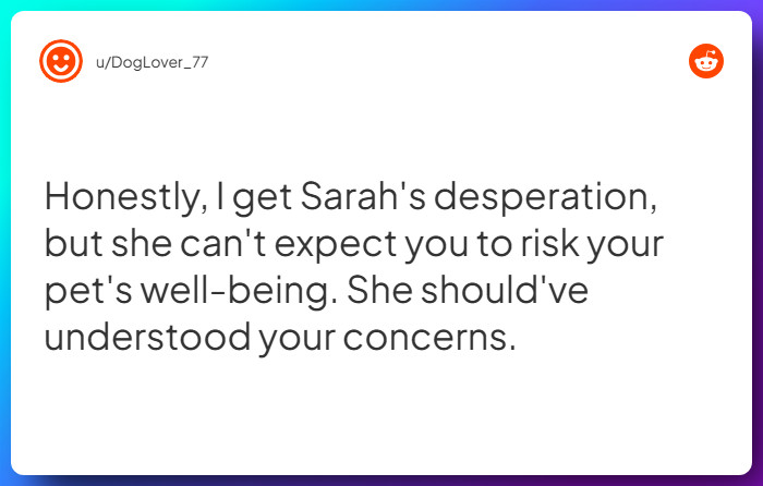 Comment from u/DogLover_77