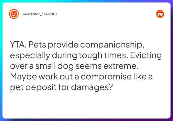 Comment from u/Redditor_chaos101