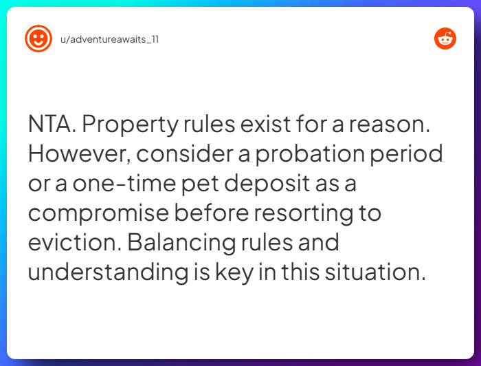 Comment from u/adventureawaits_11