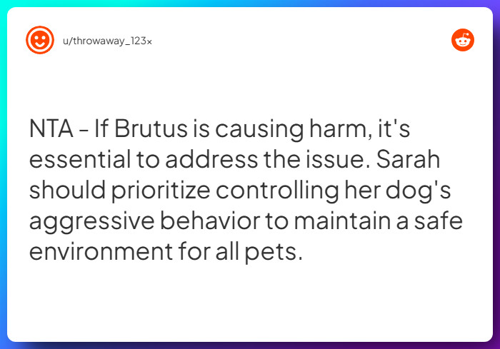 Comment from u/throwaway_123x