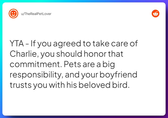 Comment from u/TheRealPetLover