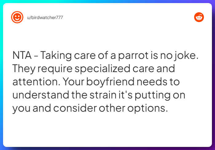 Comment from u/birdwatcher777