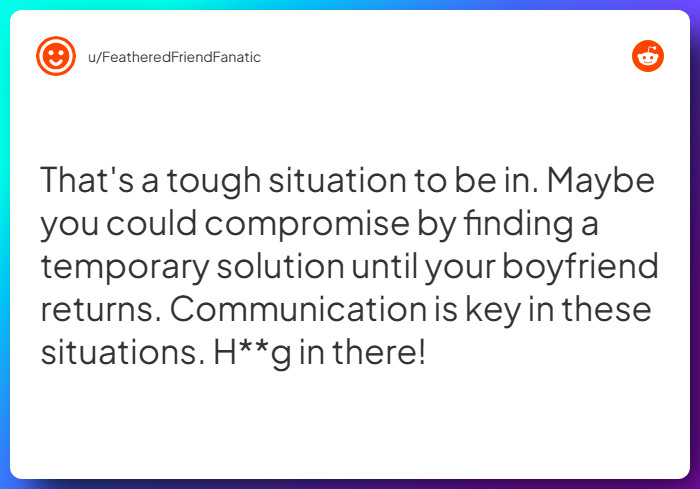 Comment from u/FeatheredFriendFanatic