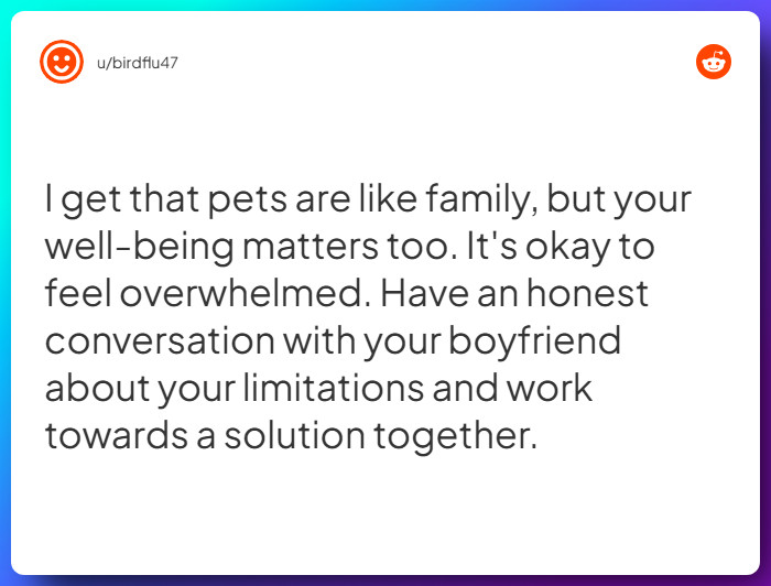 Comment from u/birdflu47