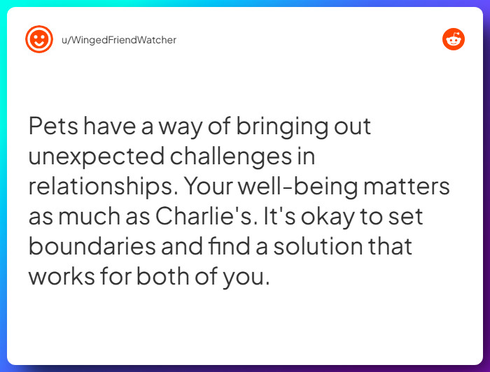 Comment from u/WingedFriendWatcher