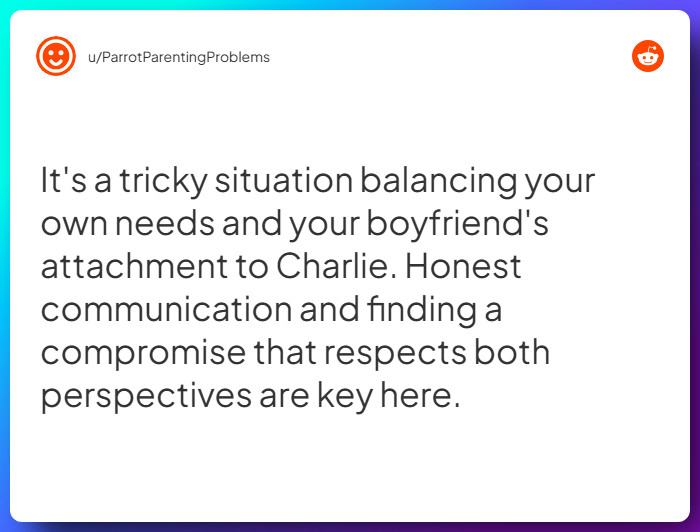 Comment from u/ParrotParentingProblems