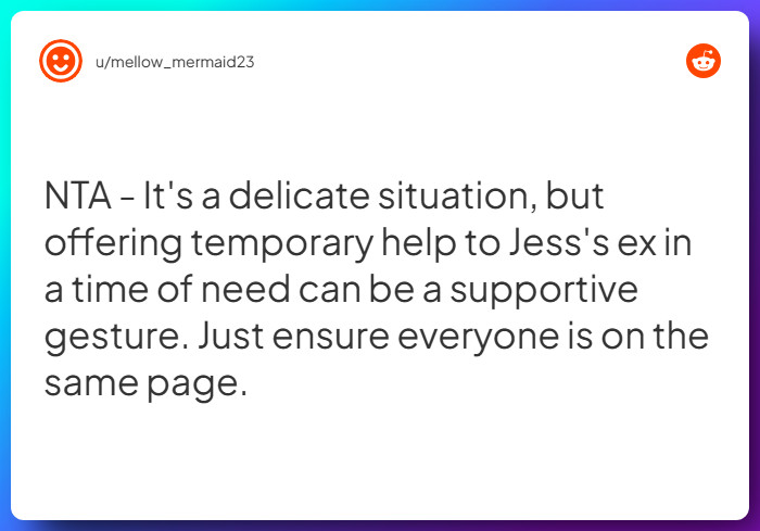 Comment from u/mellow_mermaid23