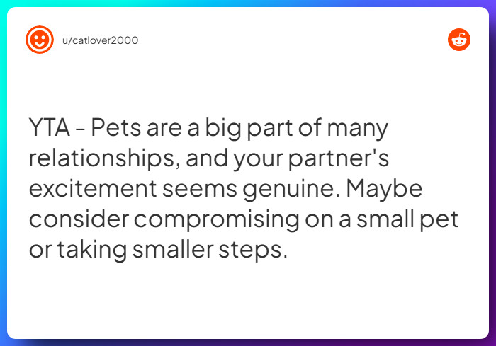 Comment from u/catlover2000