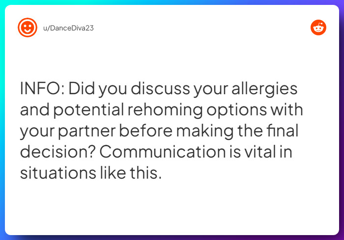 Comment from u/DanceDiva23