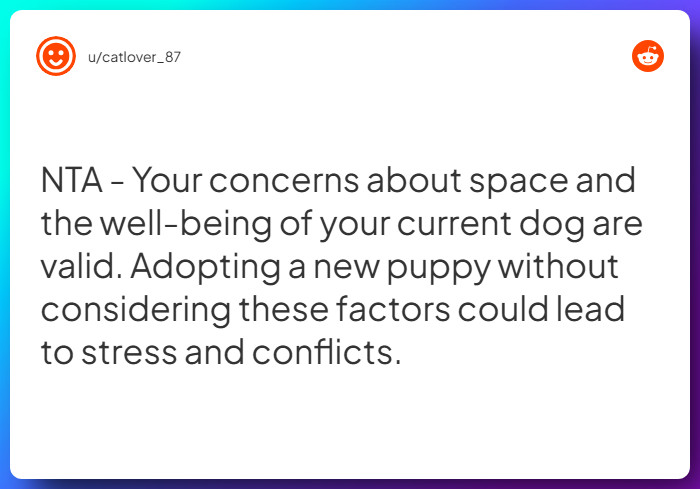 Comment from u/catlover_87