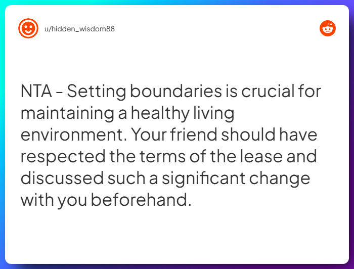 Comment from u/hidden_wisdom88