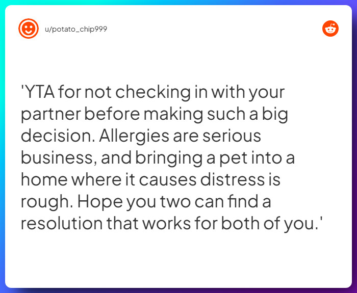 Comment from u/potato_chip999