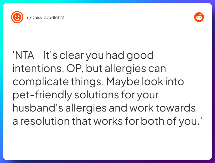 Comment from u/DaisyDoodle123