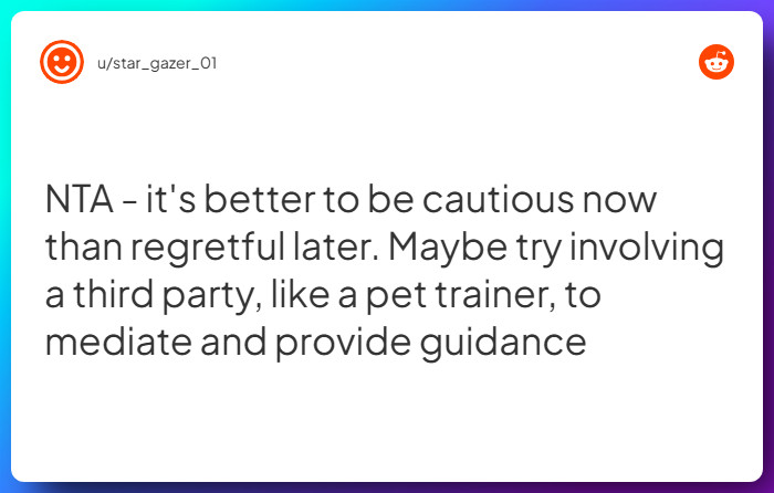 Comment from u/star_gazer_01