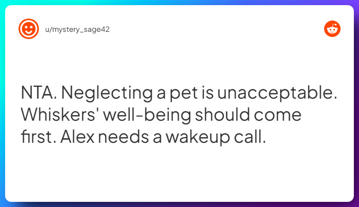 Comment from u/mystery_sage42