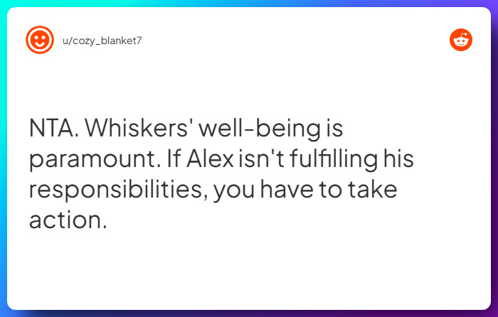 Comment from u/cozy_blanket7