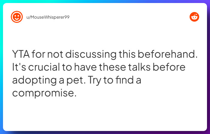 Comment from u/MouseWhisperer99