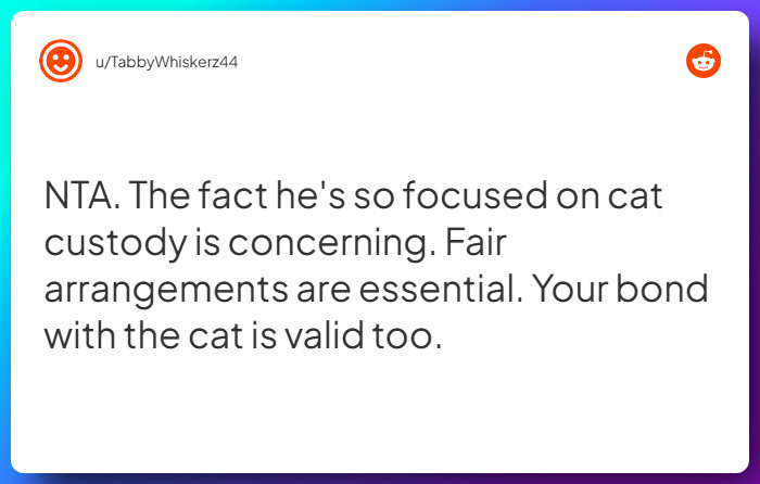 Comment from u/TabbyWhiskerz44