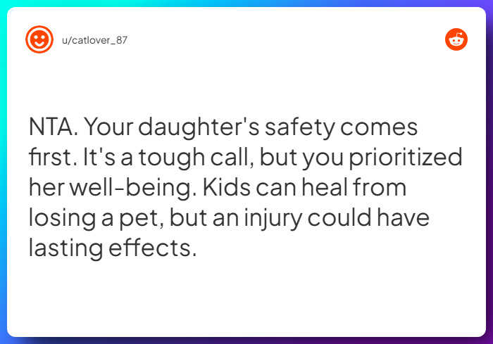 Comment from u/catlover_87