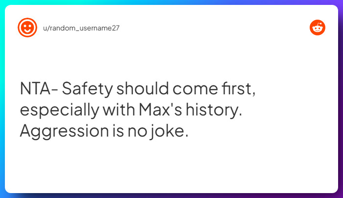 Comment from u/random_username27