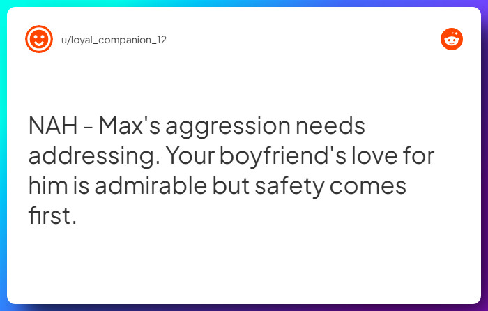 Comment from u/loyal_companion_12