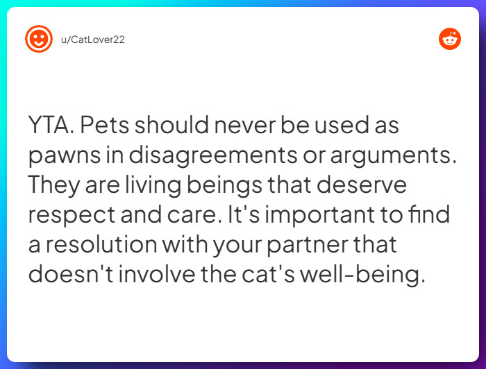 Comment from u/CatLover22
