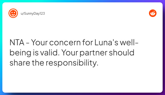 Comment from u/SunnyDay123