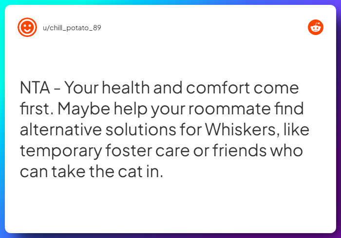 Comment from u/chill_potato_89