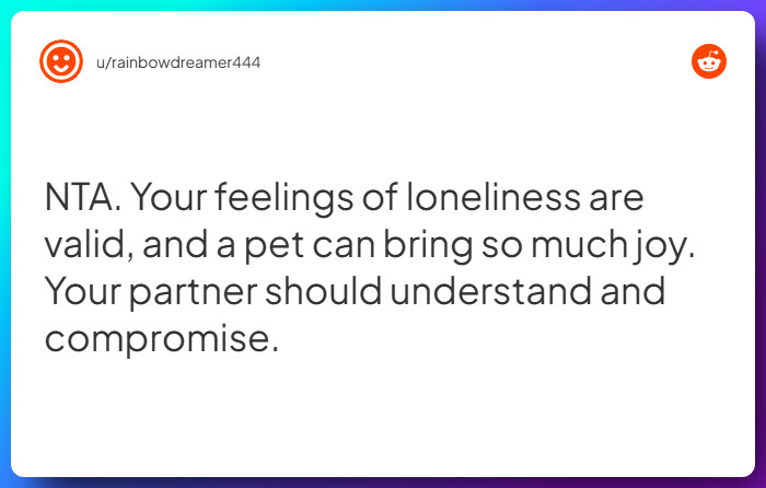 Comment from u/rainbowdreamer444