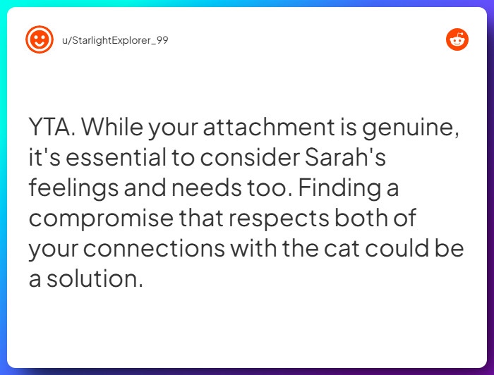 Comment from u/StarlightExplorer_99