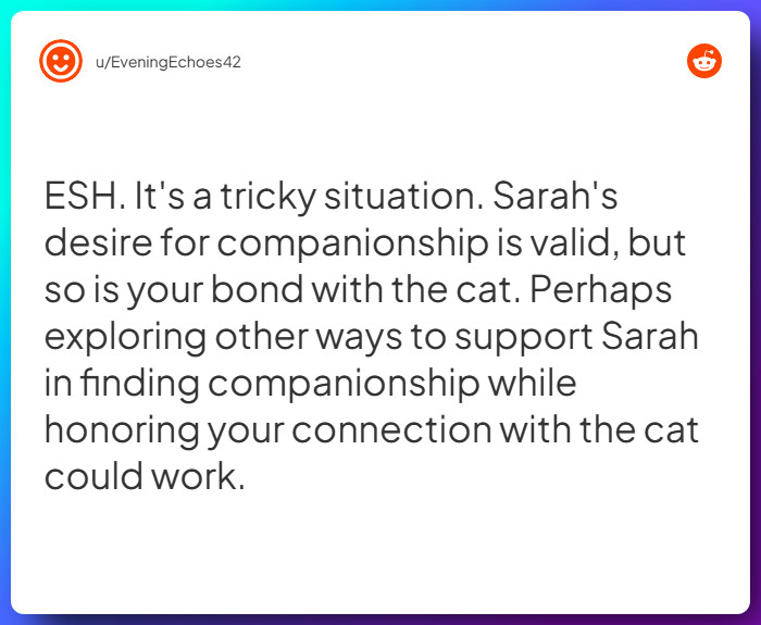 Comment from u/EveningEchoes42