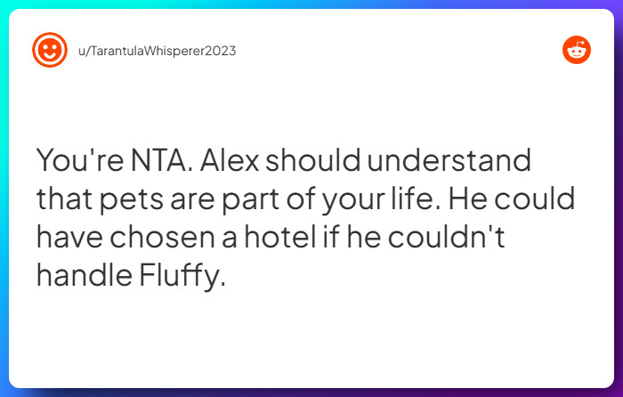 Comment from u/TarantulaWhisperer2023