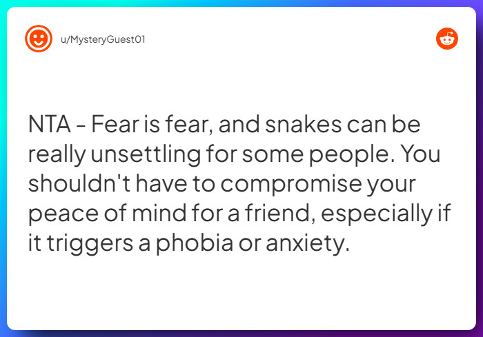 Comment from u/MysteryGuest01