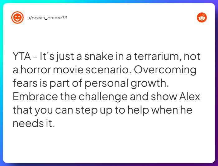 Comment from u/ocean_breeze33