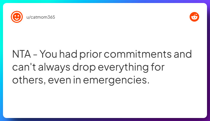 Comment from u/catmom365