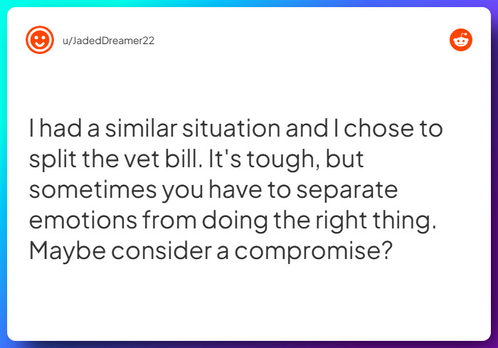 Comment from u/JadedDreamer22