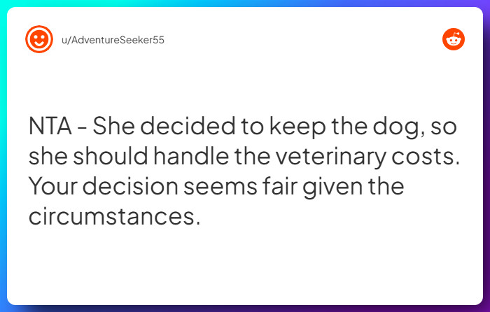 Comment from u/AdventureSeeker55